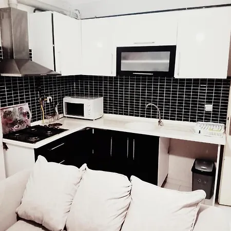 Daire Kocaeli Centrally Located Flat *