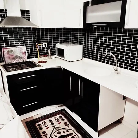 Kocaeli Centrally Located Flat Daire İzmit